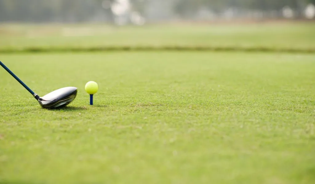 artificial grass carpet for balcony in bangalore, artificial grass carpet in bangalore, artificial grass carpet price in bangalore, artificial grass dealers in bangalore