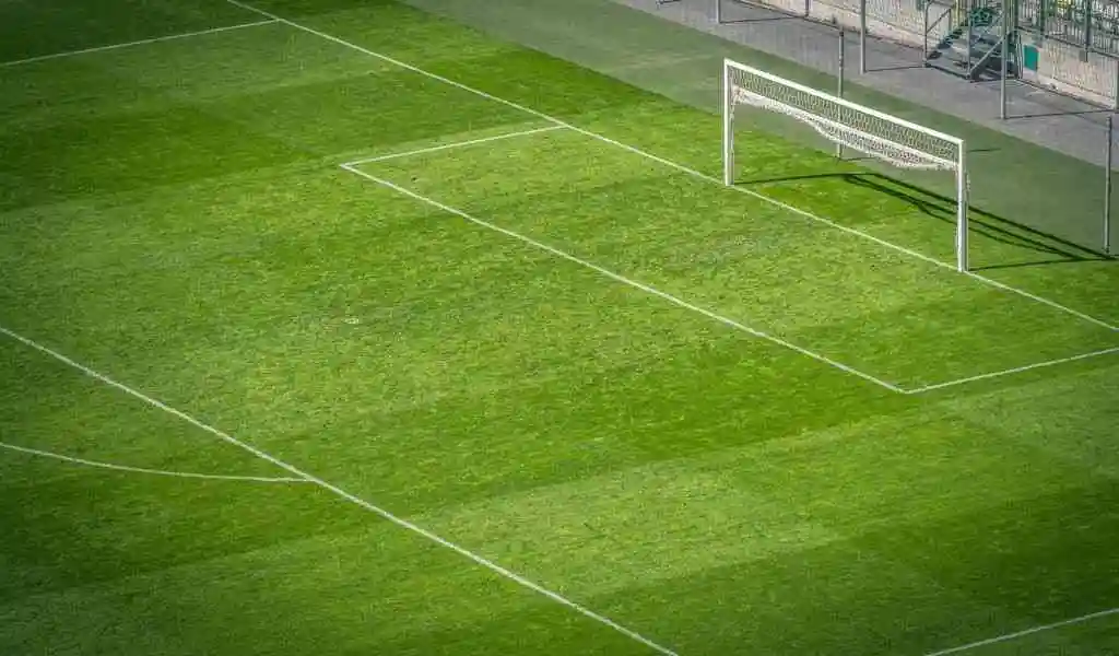 green grass for football ground in bangalore,Green Grass Installation for Playgrounds Near Me in Varthur, Football Court Grass in Bangalore