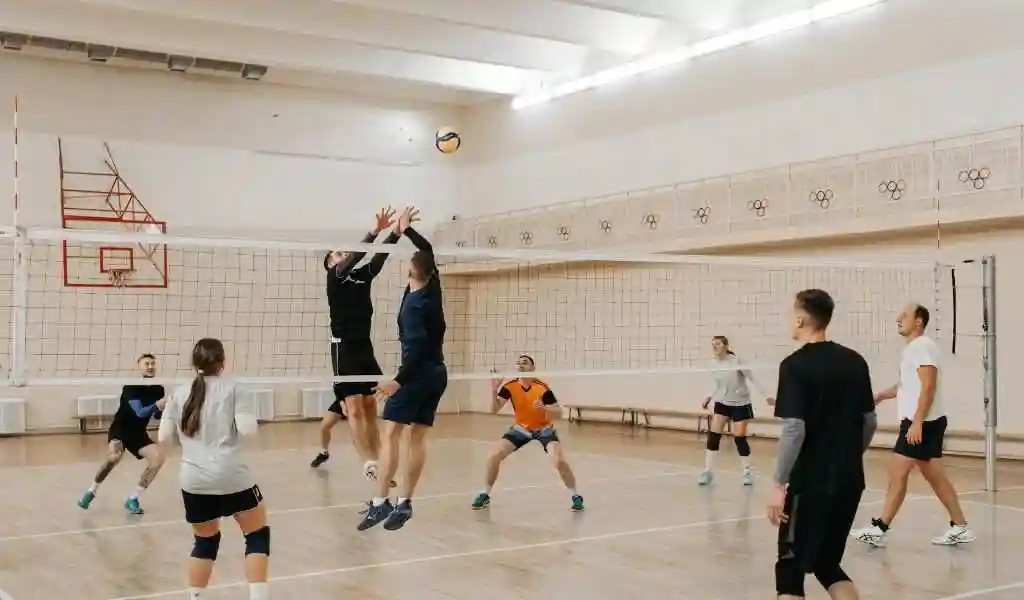 green grass for volley ball ground in Bangalore