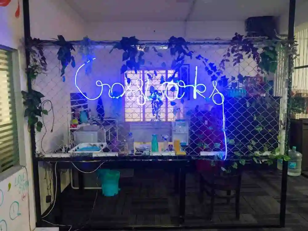 artificial green grass for house in Bangalore,Artificial Green Grass for Decoration in Bangalore