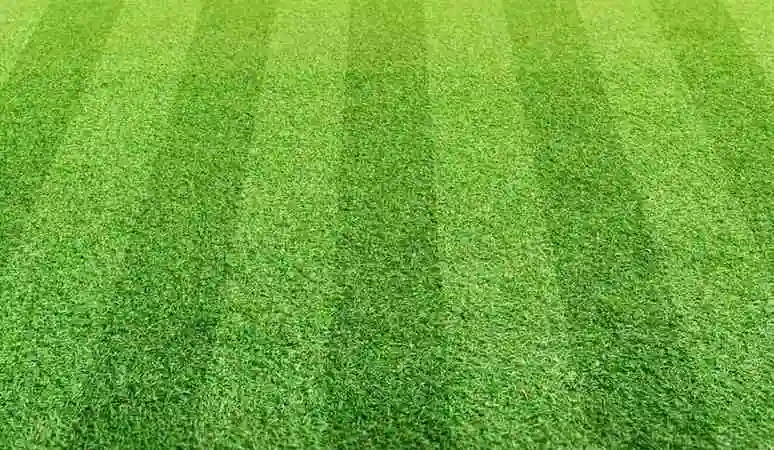 playground green grass price in Bangalore,Artificial Green Grass Installers Near Me in Haralur, Best Artificial Grass Installation Services In Bangalore