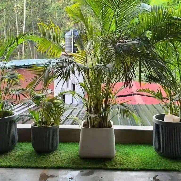 Best artificial grass for balcony in Bangalore