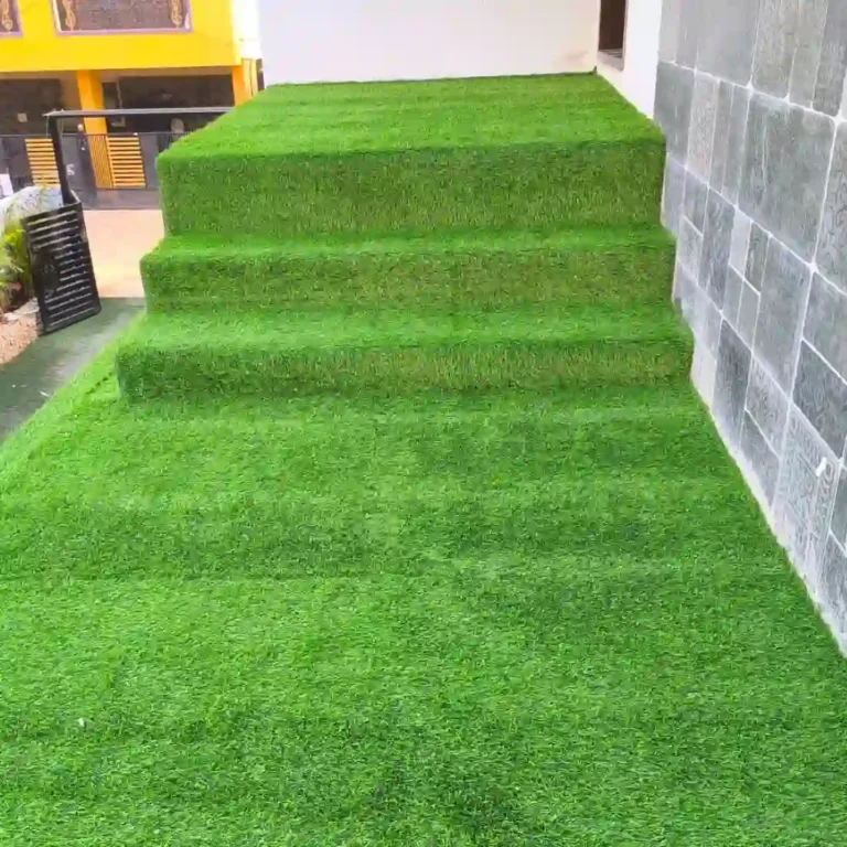 The Best Turf and Landscaping in Bangalore