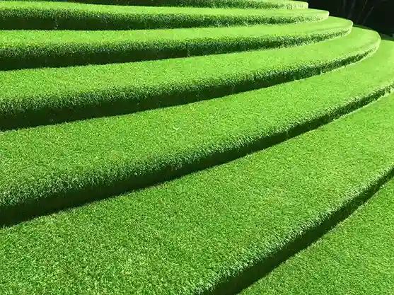 Green Grass for Balcony in Bangalore