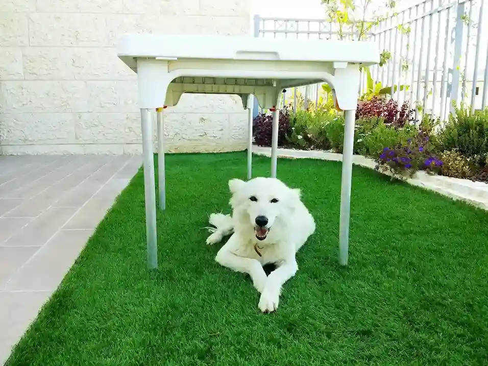 Pet friendly artificial turf in Bangalore, Residential Synthetic Grass Bangalore