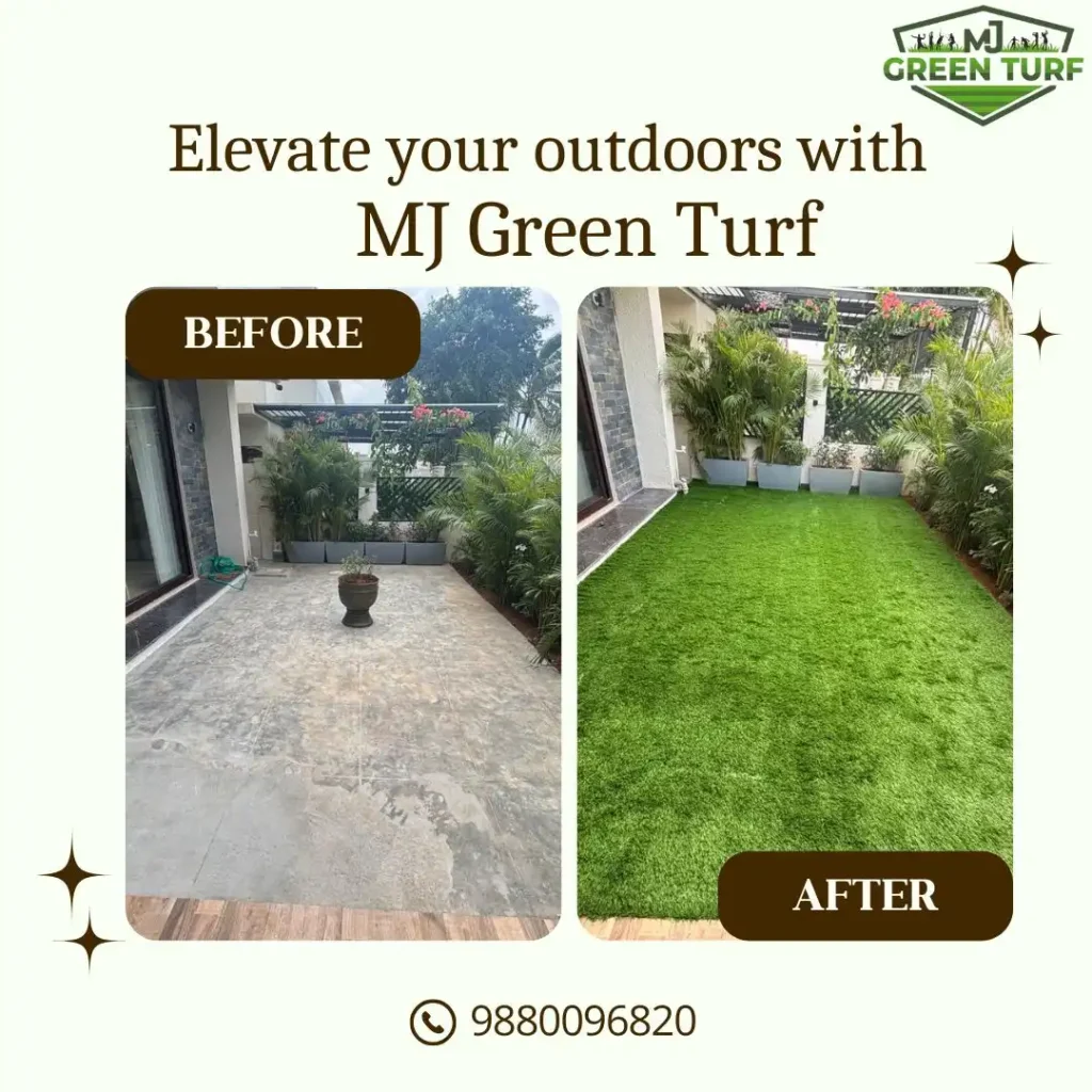 Best Green Grass in Bangalore